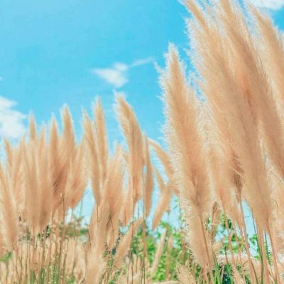 暴力挖掘机游戏(暂未上线)v1.2.0 安卓版